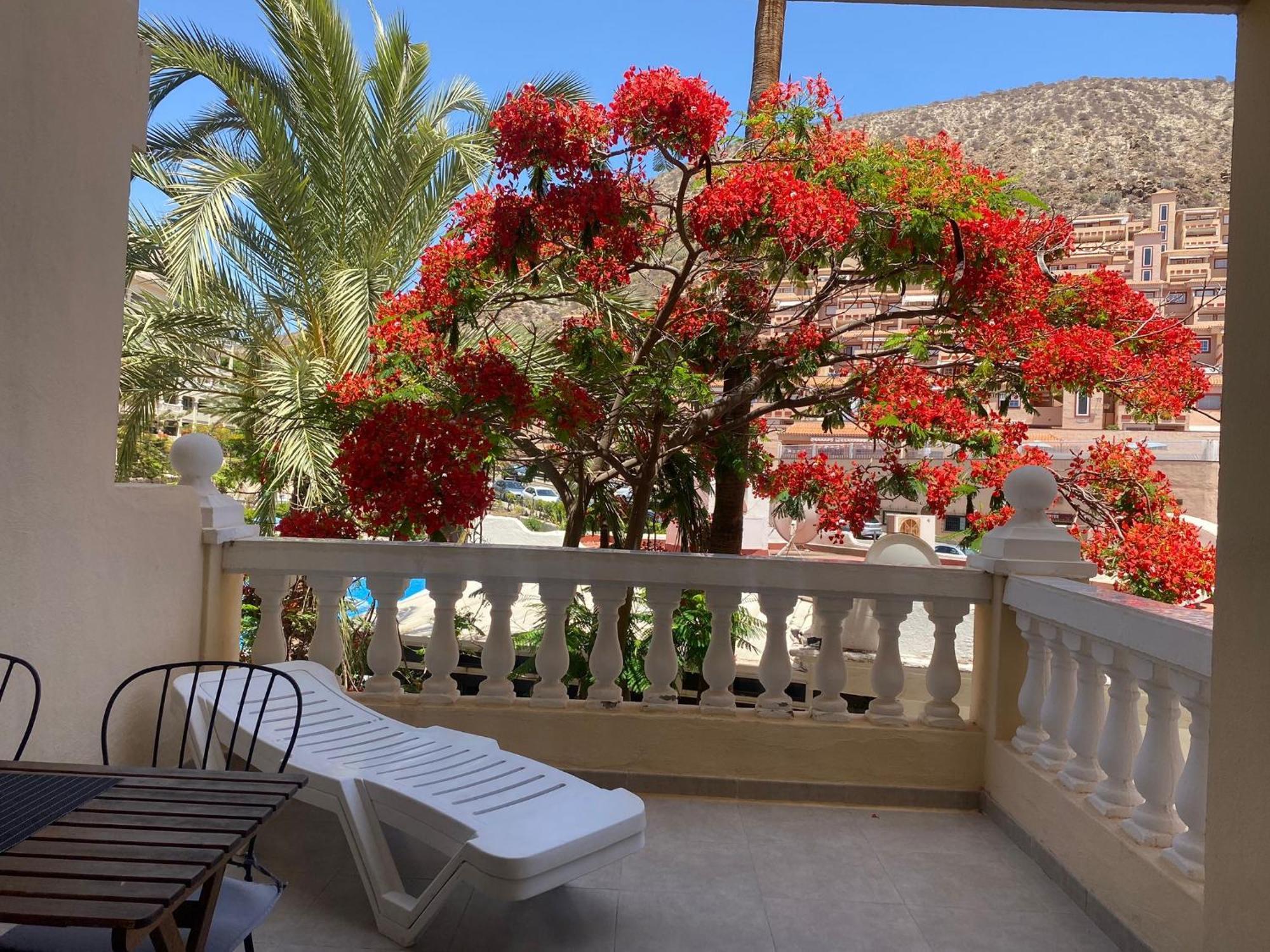 Castle Harbour Samuel'S Studio Flat By Lovetenerife Лос Кристианос Екстериор снимка